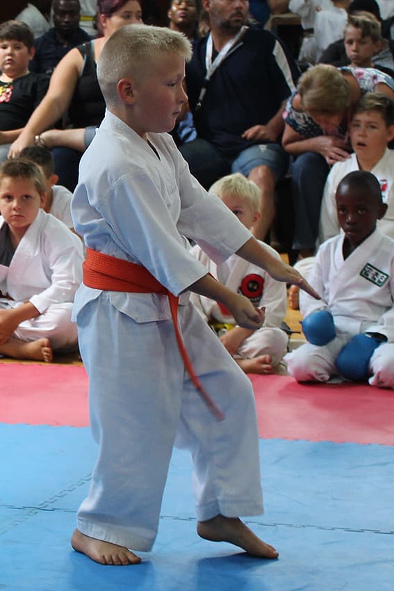 2020 Gojo-Ryu Challenge - Image 5